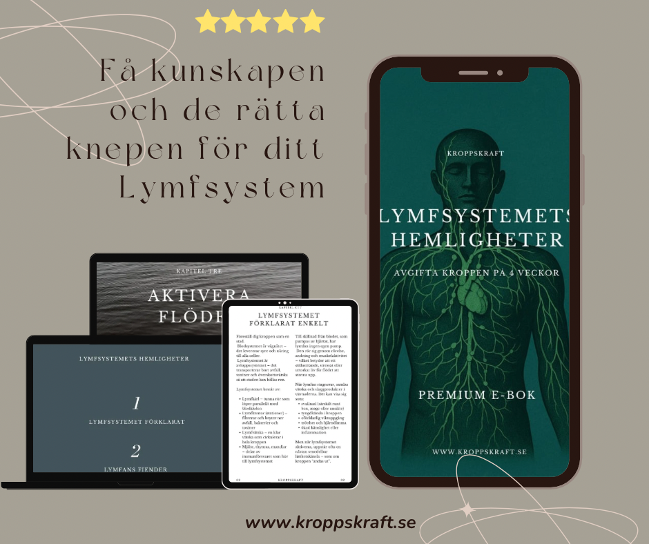Lymfsystemets Hemligheter